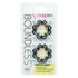 CALEXOTICS - BOUNDLESS PRESE PER CAPEZZOLI