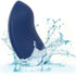 CALEXOTICS - CASHMERE CURVA VELLUTO BLU