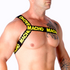 MACHO - PETTORINA ROMANA GIALLA L/XL