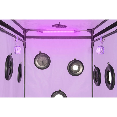 SECRET DOME - KINK CLUB CABIN SCANDALE VIOLA