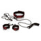 CALEXOTICS - SCANDAL KIT PER LA PRESENTAZIONE
