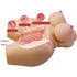 CRAZY BULL - GRACE TORSO FEMMINILE REALISTICO VAGINA E ANALE 7,5 KG