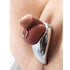 METAL HARD - CAZZO GOCCIA 50MM