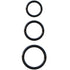 FANTASY C-RINGZ - SET 3 ANELLI STAMINA IN SILICONE