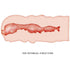 CRAZY BULL - MASTURBATORE ISABEL VAGINA 13.5 CM